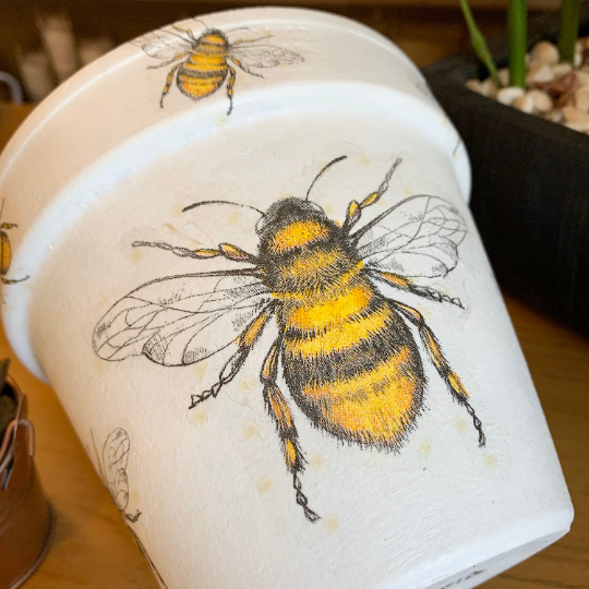 Bee Decoupaged Plant Pot