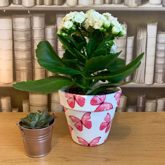 Pink Butterflies Decoupaged Plant Pot